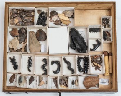 null Un tiroir d’outils préhistoriques, provenances diverses : Mexique, Guatemala,...
