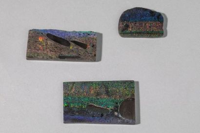 null Trois pièces d'opale noire sciées et polies. Poids total: 53,5 gr.