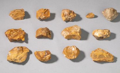 null Boîte de 12 morceaux d'ambre, Rochefort, Charente-Maritime. Poids total: 183...