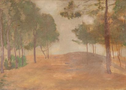 null Odilon REDON (1840-1916), Sous-bois au printemps, huile sur toile, signée en...