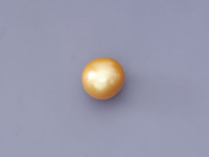 null Rare perle de culture couleur - Gold -, 750 MM, certifiée des Mers du Sud, sans...