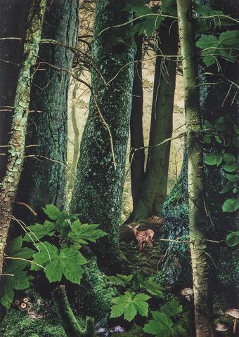 null Ruud Van Empel (1958- ): "Study in Green", Photo sur cibachrome,# 8, 2003, 42...
