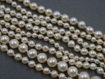 null Très long sautoir de perles de culture japonaises en chute. Long.: 98 cm - Diam....