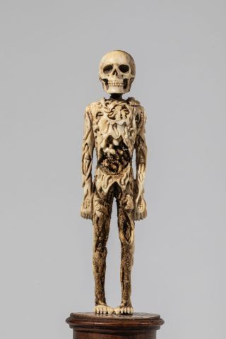 null Extraordinaire vanité écorchée debout sculptée en ivoire. Le squelette en décomposition...