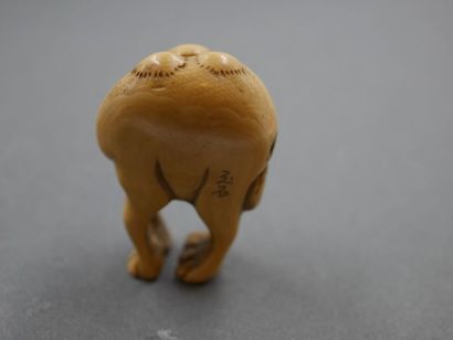 null Okimono en ivoire représentant un bébé chameau - Signé - CHINE - Fin XIX début...