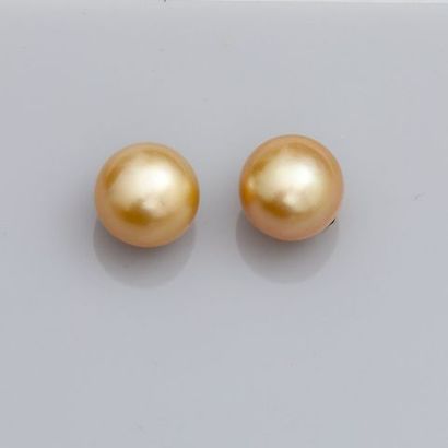 null Boucles d'oreilles en or jaune, 750 MM, ornée chacune d'une perle de culture...