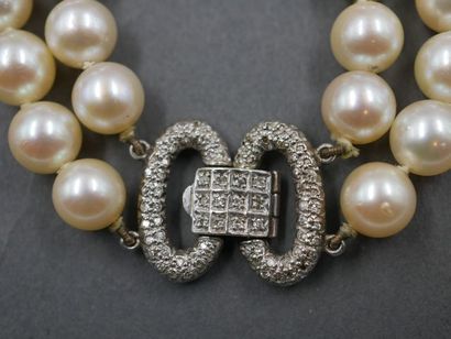 null Collier à double rang de perles de culture - Fermoir nœud en or gris pavé de...