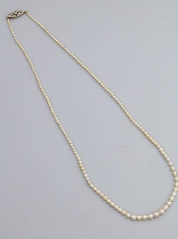 null Collier de perles probablement fines en légère chute, diamètre : 2 / 4 mm, longueur...