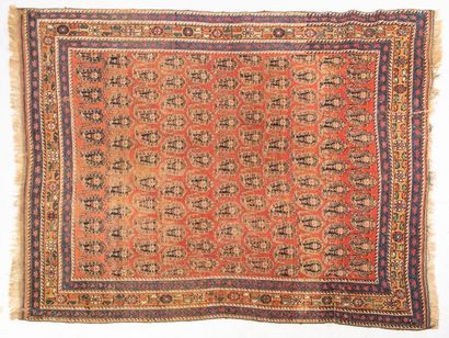null Tapis Afachar, PERSE, fin XIXème siècle, velours en laine sur fondation en coton....