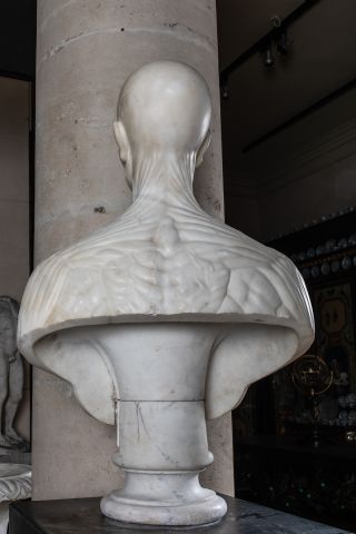 null Rare buste d’écorché en marbre blanc de Carrare sur piédouche en marbre tourné....