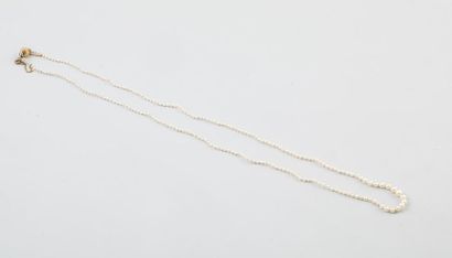 null Collier de perles fines avec perles de culture. Fermoir sécurité en métal doré...