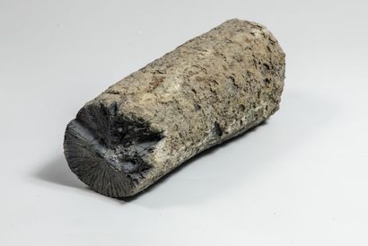 null Bois fossile avec vivianite, Indonésie.