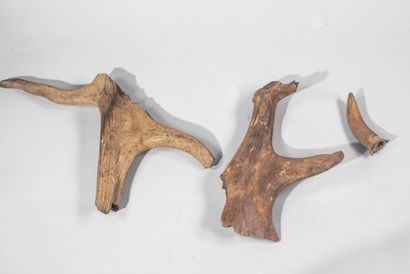 null NON VENU. Fragment d’os néolithique des bords de Seine et 2 fragments de cervidés...