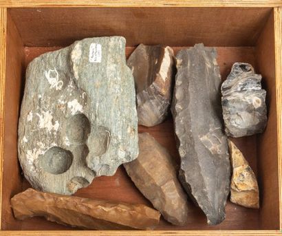 Un tiroir d’outils préhistoriques divers....