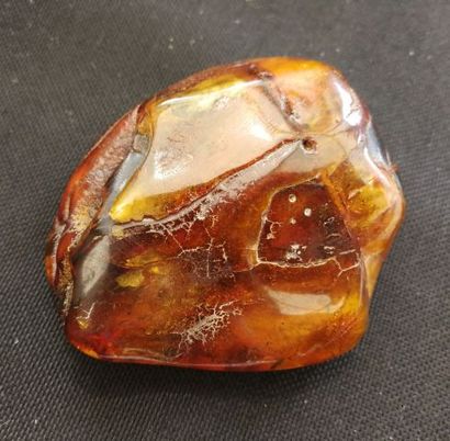null Grand morceau d'ambre naturel de la baltique. Couleur miel. Haut.: 7 cm Larg.:...