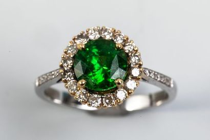 null Bague en or jaune et blanc 18k ornée d'une tsavorite ronde dans un entourage...