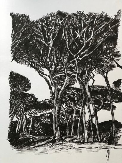 BONNAND Véronique "The Pines" Ink drawing 30 x 40 cm signed.



Free shipping for...