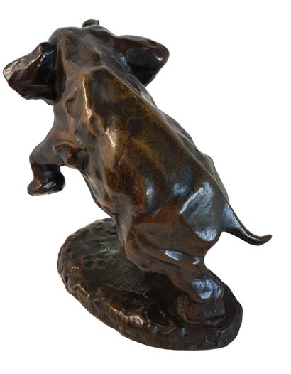 MAUREL L. (XXe) 
L’éléphant cabré
 Bronze à patine brune 24 x 20 cm signé sur la...