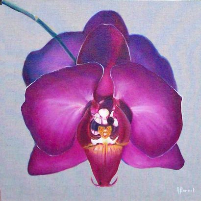 BONNET Myriam "Phalaenopsis violacea" Huile sur toile 40 x 40 cm signée en bas à...