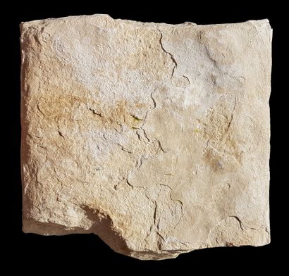 JUNON - ART ROMAIN - II-IIIe siècles après J-C 
Sculpture acéphale en pierre calcaire...