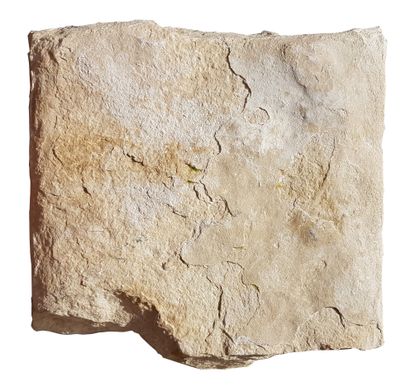 JUNON - ART ROMAIN - II-IIIe siècles après J-C 
Sculpture acéphale en pierre calcaire...