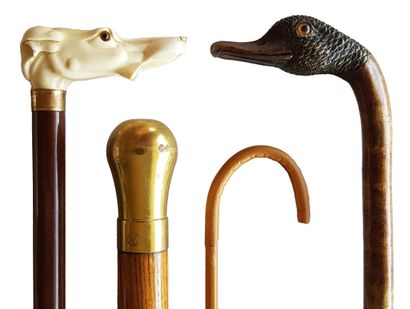 Lot de 5 cannes c.1900 A head of greyhound in ivory, a head of duck both with glass...