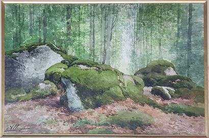 ALLONGÉ Auguste "La mousse au fond des bois" Aquarelle 33 x 50 cm (71 x 88 cm avec...