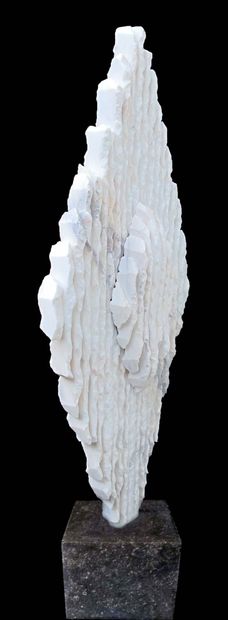 SAVA Marian "Buisson ardent" Marbre blanc 70 x 30 x 07 cm de 2016 Taille directe...