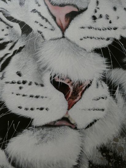 C'Line "Alchimie amoureuse" (tigre blanc). Acrylique sur toile 73 x 60 cm signée.

Frais...