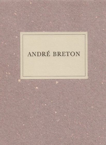 Elisa BRETON (1906-2000) Estimation : 2 000 - 4 000 €
"André Breton" Portfolio complet...