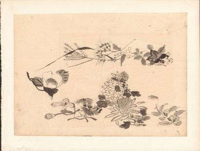 Lot de 10 aquarelles japonaises sur papier du XIXe siècle Estimation 200 - 300 €
"Le...