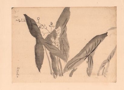 Lot de 10 aquarelles japonaises sur papier du XIXe siècle Estimation 200 - 300 €
"Barques...