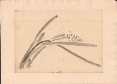 Lot de 10 aquarelles chinoises et japonaises sur papier du XIXe siècle Estimation...