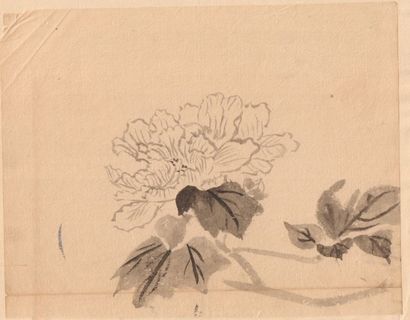 Lot de 10 aquarelles chinoises et japonaises sur papier du XIXe siècle Estimation...
