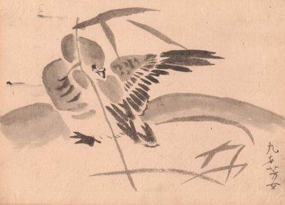 Lot de 10 aquarelles chinoises et japonaises sur papier du XIXe siècle 
"Le Hibou"...