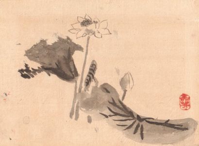 Lot de 10 aquarelles chinoises et japonaises sur papier du XIXe siècle 
"Le Hibou"...