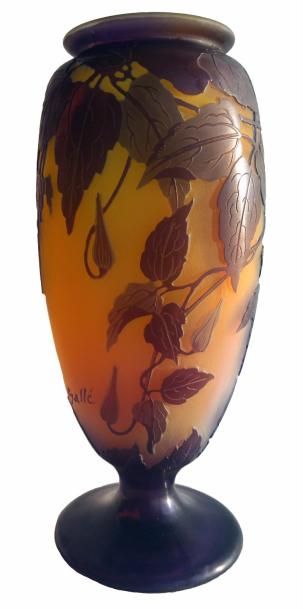 GALLÉ Émile (1846-1904) « Clématites grandiflora »
Vase en verre double finement...