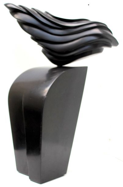 SAVA Marian "Amapola" Marbre noir belge Taille directe 56 x 17 x 18 cm de 2009
signé.

Frais...