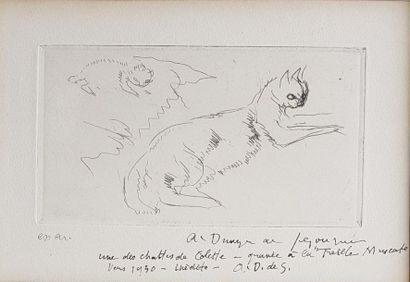DUNOYER de SEGONZAC André (1884-1974) « Colette épuçant sa chienne Souny », « Une...