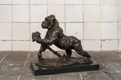 Rembrandt Bugatti (1884-1916, after): Gorilla, patinated bronze on a marble base... Gazette Drouot