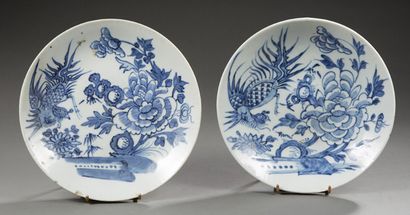 CHINE Deux plats en porcelaine décorée en bleu de Hué à décor de phénix, rochers...