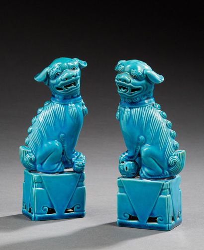 CHINE 
Paire de chiens de Fô en porcelaine turquoise.
Epoque moderne.
Dim.: 16,5...