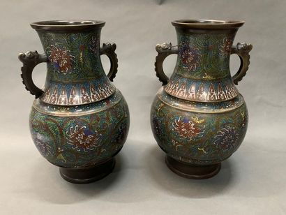 null JAPON 


Paire de vases à anses en bronze cloisonné.


H. : 37,5 cm.