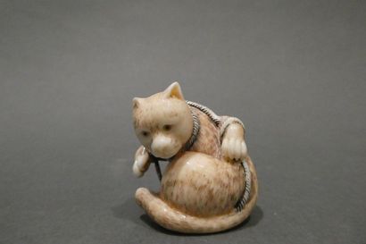 null JAPON


Netsuke en ivoire représentant un chat empetré dans une ficelle


Dim....
