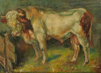 Alfred-Auguste JANNIOT (1889-1969) 
Boeuf
Huile sur toile signée en bas à gauche
60...