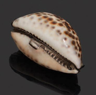 null Box featuring a shell, silver mount.
19th century period.
Gross weight: 173...