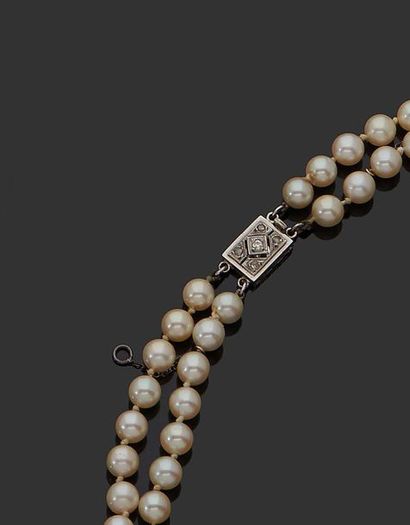 null TWO RANDS of cultured pearls necklace, 18K (750) white gold clasp set with brilliants.
Gross...