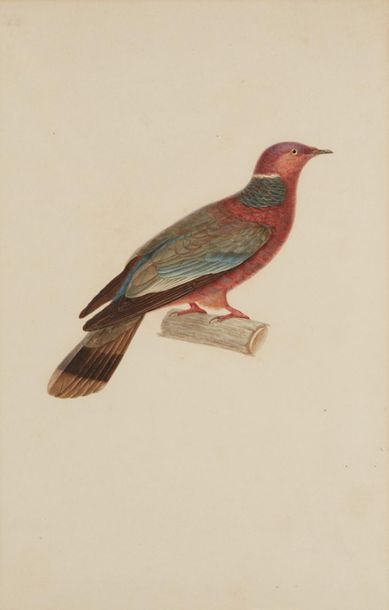 JEAN GABRIEL PRETRE (VERS 1780-VERS 1845) 
Un oiseau sur une branche
Paire d'aquarelles
Signé...