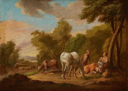 SIMON VAN DER DOES (La Haye 1653 - après 1717) 
Peasant 
Canvas 
Signed lower left...