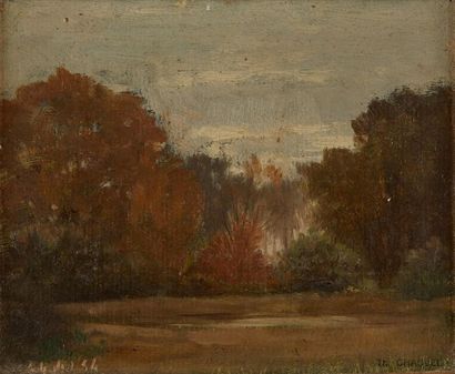 THÉOPHILE CHAUVEL (Paris 1831 - 1909) 
View of a clearing

Signed lower right Théophile...